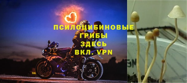 MESCALINE Аркадак