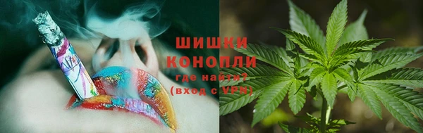 MESCALINE Аркадак