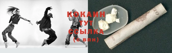 шишки Армянск