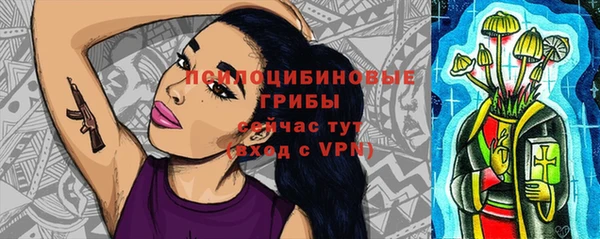 шишки Армянск