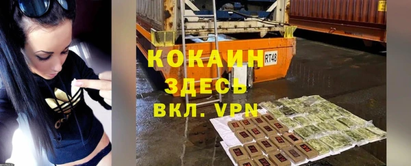 шишки Армянск