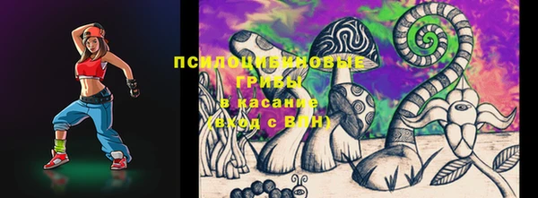 шишки Армянск