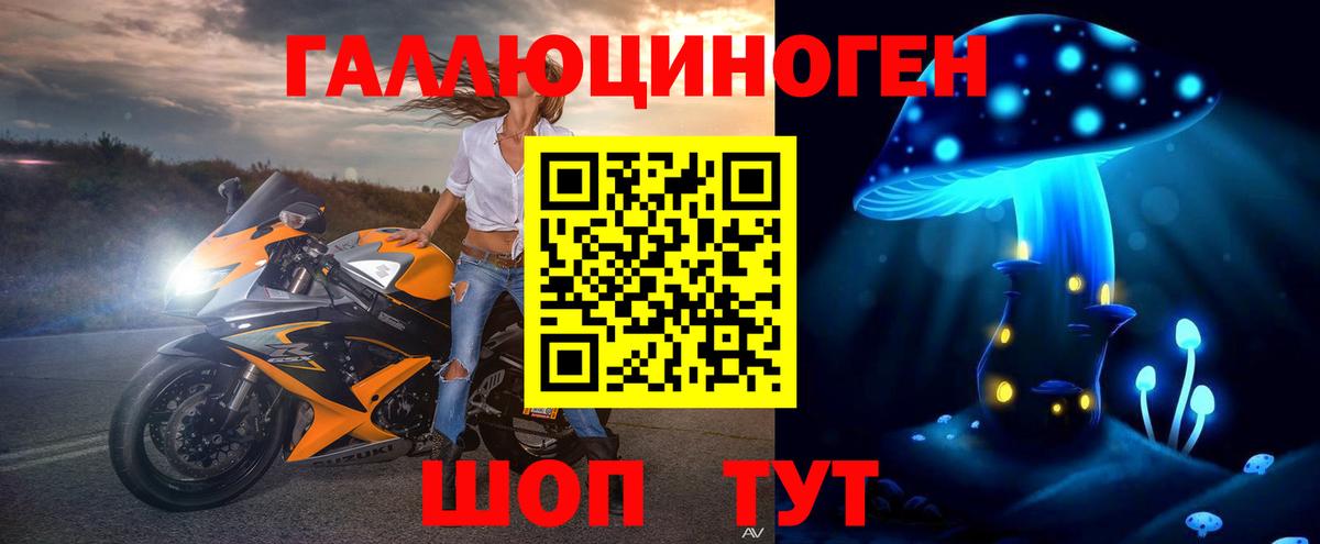 Изобильный  Псилоцибиновые грибы Psilocybe  Вход с VPN 